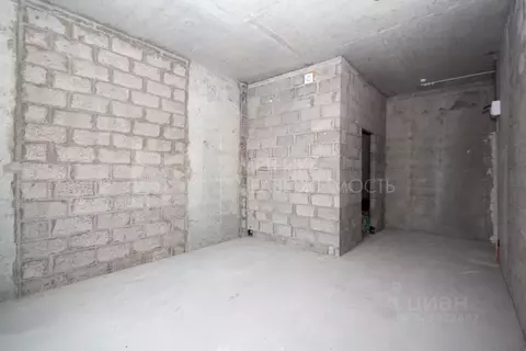 Студия Ленинградская область, Мурино Всеволожский район, ул. Графская, ...