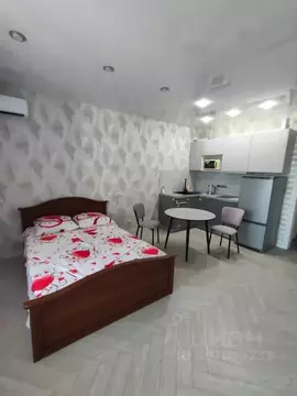 Студия Новосибирская область, Новосибирск ул. Прибрежная, 6 (28.0 м)