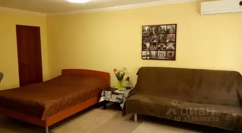 Студия Свердловская область, Екатеринбург ул. Челюскинцев, 29 (31.0 м)