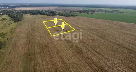 Участок в Московская область, Раменский муниципальный округ, ...