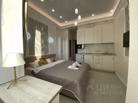 1-к кв. Ленинградская область, Гатчина ул. Чехова, 43к1 (18.0 м)