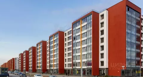 Помещение свободного назначения в Санкт-Петербург просп. Буденного, ...