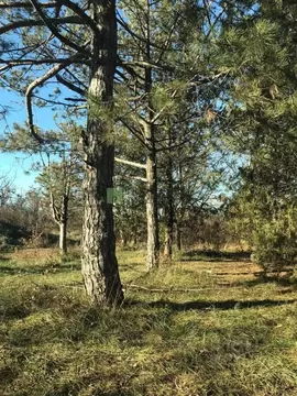 Участок в Севастополь Балаклавский муниципальный округ, Сапун-Гора ...