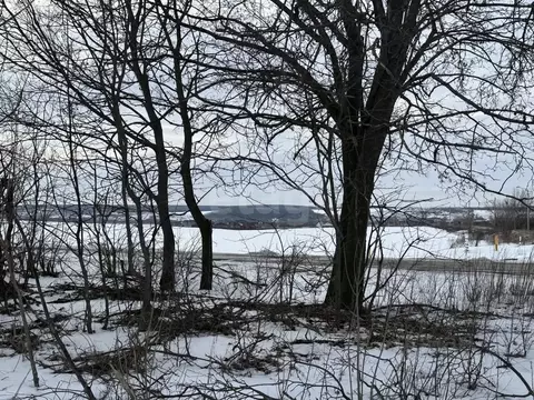 Участок в Белгородская область, Шебекинский муниципальный округ, пос. ...