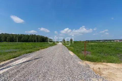 Участок в Свердловская область, Тугулымский муниципальный округ, с. ...