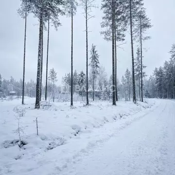 Участок в Ленинградская область, Выборгский район, Рощино пгт проезд ...
