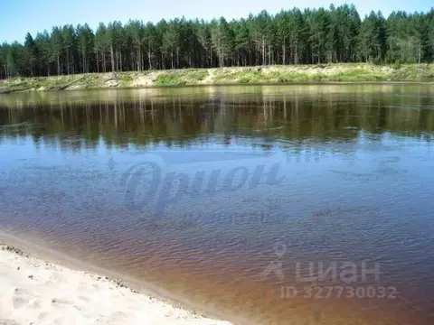 Участок в Нижегородская область, Ветлужский муниципальный округ, д. ...