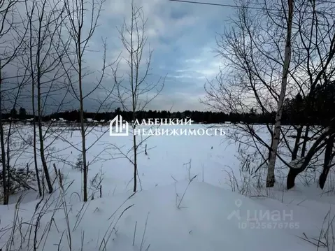 Участок в Ленинградская область, Сосновый Бор  (8.0 сот.)