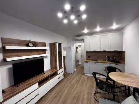 Студия Москва ул. Трехполье, 6к1 (24.0 м)