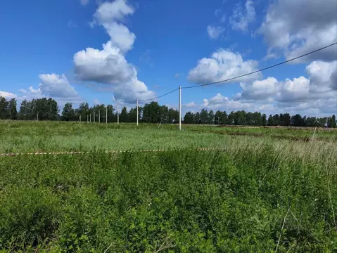 Участок в Тамбовская область, Тамбовский муниципальный округ, с. ...