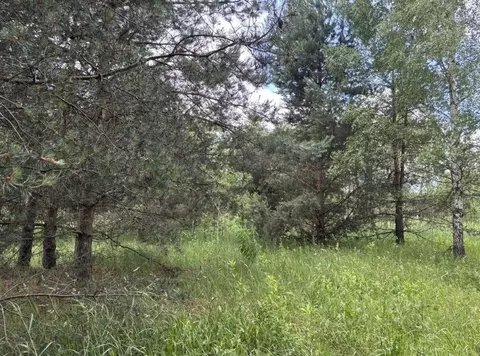 Участок в Московская область, Павлово-Посадский городской округ, д. ...