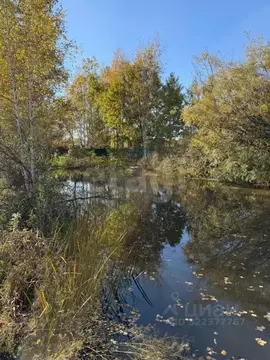 Участок в Хабаровский край, Хабаровский район, Тополевское с/пос, ...