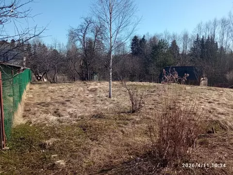 Участок в Ленинградская область, Лужский район, Толмачевское городское ...
