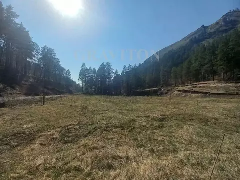 Участок в Алтай, Майминский район, с. Манжерок Ленинская ул. (10.0 ...