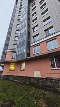 Помещение свободного назначения в Санкт-Петербург просп. Просвещения, ...