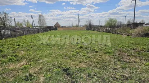 Участок в Новосибирская область, Новосибирский район, с. Криводановка ...