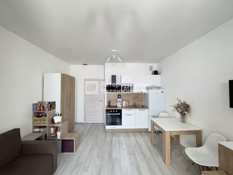 Студия Санкт-Петербург Фарфоровская ул., 3к2 (24.1 м)