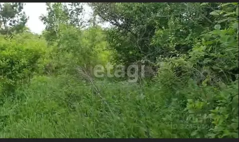 Участок в Амурская область, Благовещенск пос. Аэропорт,  (10.0 сот.)