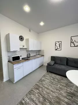 1-к кв. Московская область, Одинцово ул. Маршала Бирюзова, 7к4 (30.0 ...