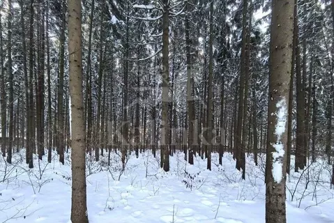 Участок в Московская область, Одинцовский городской округ, д. ...