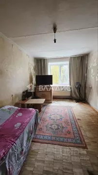 Студия Пермский край, Пермь ул. Луначарского, 26 (23.4 м)