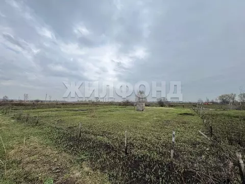 Участок в Новосибирская область, Новосибирский район, с. Криводановка ...