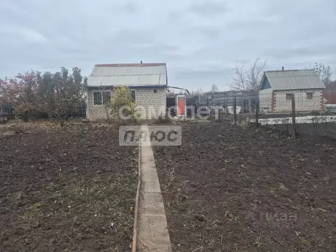 Участок в Челябинская область, Челябинск Ручеек СНТ, ул. Фруктовая ...