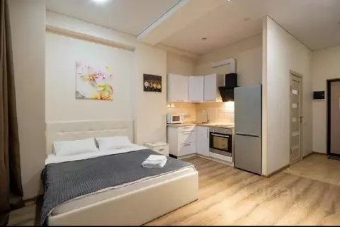 1-к кв. Краснодарский край, Сочи Мамайка мкр, ул. Крымская, 89 (32.0 ...