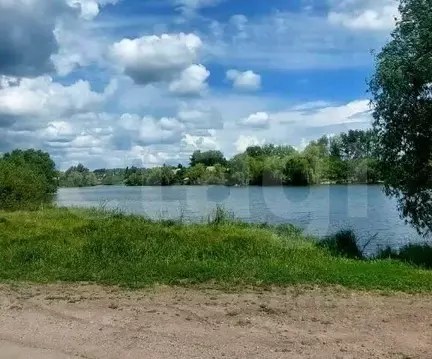 Участок в Воронежская область, Рамонский район, Новоживотинновское ...