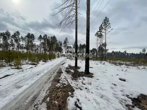Участок в Забайкальский край, Читинский район, с. Карповка, Чистый ...