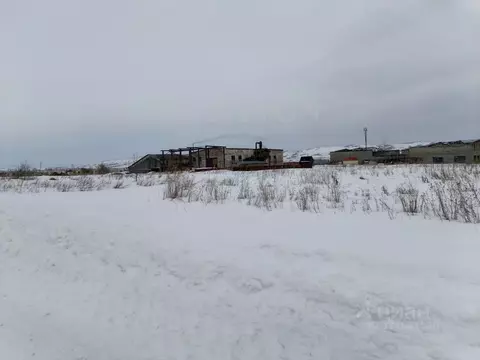 Участок в Алтай, Майминский район, с. Подгорное Центральная ул. (6.0 ...