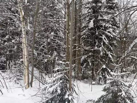 Участок в Московская область, Одинцовский городской округ, д. Сивково, ...