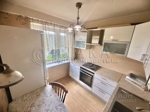 2-к кв. Санкт-Петербург Северный просп., 24К1 (46.0 м)