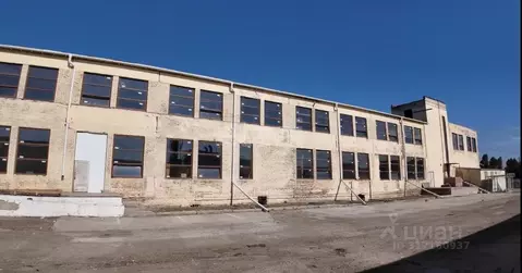 Торговая площадь в Краснодарский край, Ейск Коммунистическая ул. (569 ...