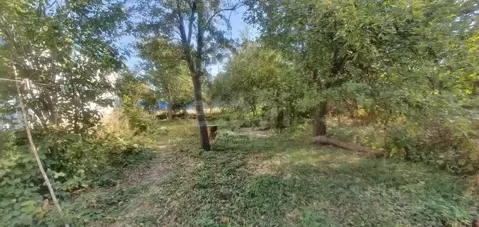 Участок в Воронежская область, Семилукский район, Латная рп ул. ...