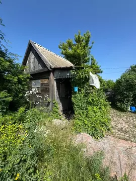 Участок в Омская область, Омск СОСН Дружба тер.,  (13.5 сот.)