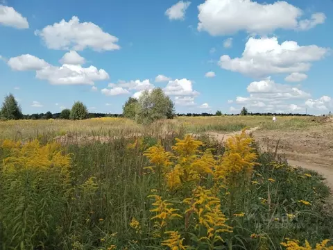 Участок в Московская область, Рузский муниципальный округ, д. ...