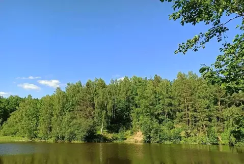 Участок в Ярославская область, Переславль-Залесский муниципальный ...