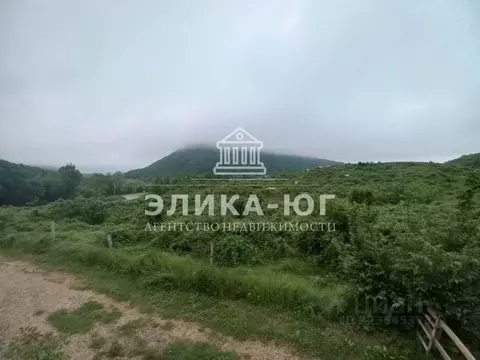 Участок в Краснодарский край, Туапсинский муниципальный округ, с. Бжид ...