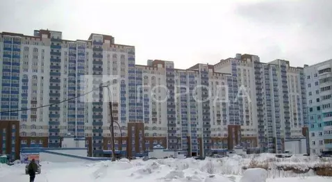 Студия Новосибирская область, Новосибирск Рябиновая ул., 10/1 (24.0 м)