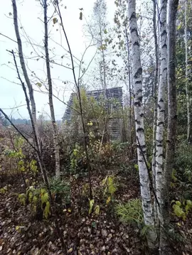 Участок в Ленинградская область, Волховский район, Кисельнинское ...