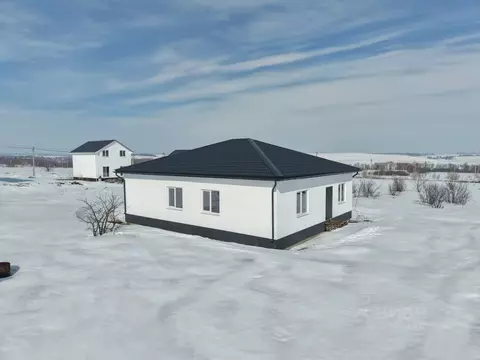 Дом в Пензенская область, с. Бессоновка, Коттеджный поселок Домашний ...