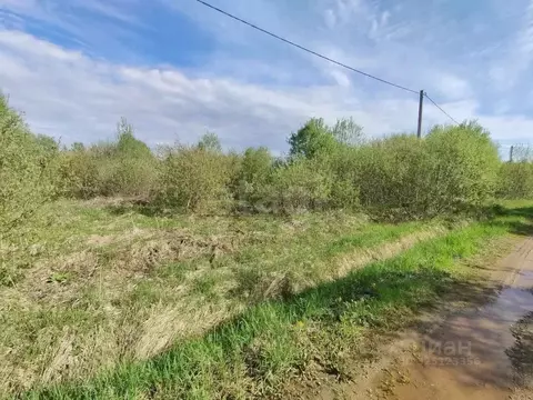 Участок в Московская область, Дмитровский муниципальный округ, д. ...
