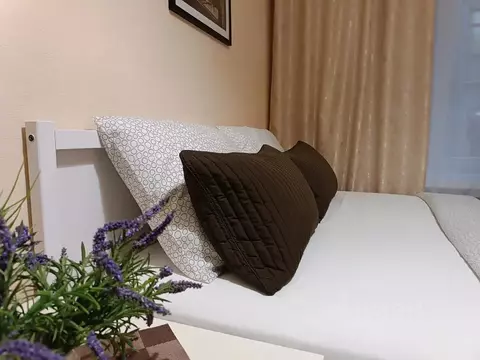 Комната Санкт-Петербург Мучной пер., 7