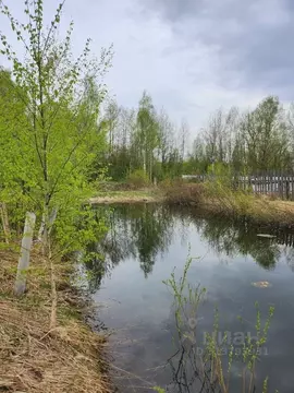 Участок в Владимирская область, Петушинское муниципальное образование, ...