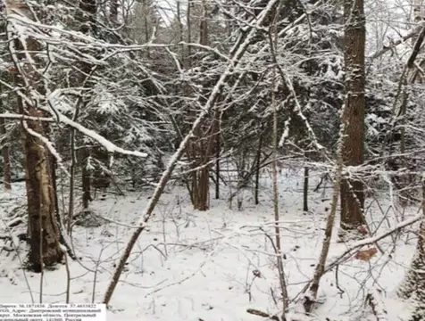 Участок в Московская область, Дмитровский муниципальный округ, Икша ...