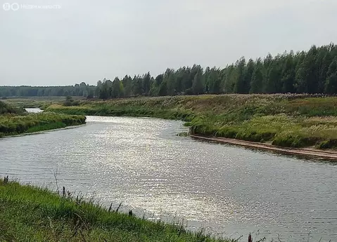 Участок в Тверская область, Конаковский муниципальный округ, деревня ...