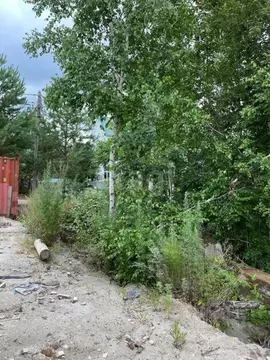Участок в Амурская область, Благовещенский район, с. Чигири пер. ...