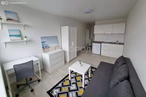 Квартира-студия: Новосибирск, улица Дунаевского, 14 (27 м)