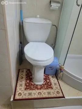 1-комнатная квартира: Новороссийск, проспект Ленина, 29 (32 м)